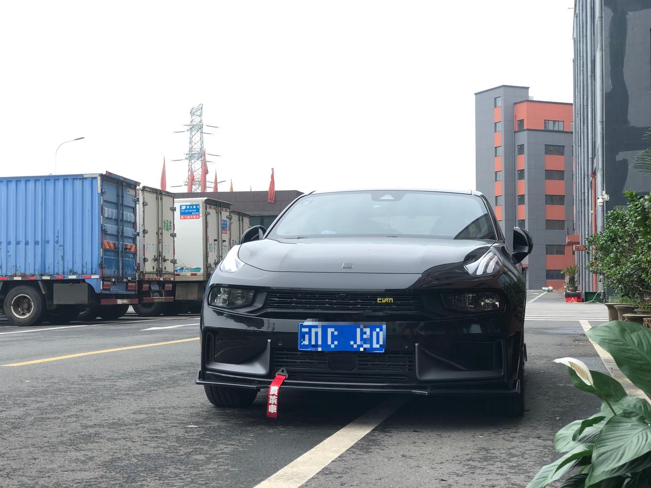 朝阳_香港资料大全正版资料图片,严词批判维护-全面释义、解释与落实
